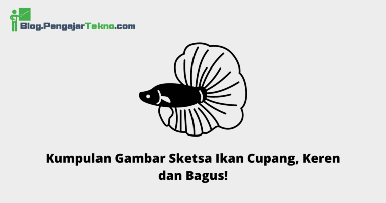 Kumpulan Gambar Sketsa Ikan Cupang Keren Dan Bagus Blog Pengajar Tekno