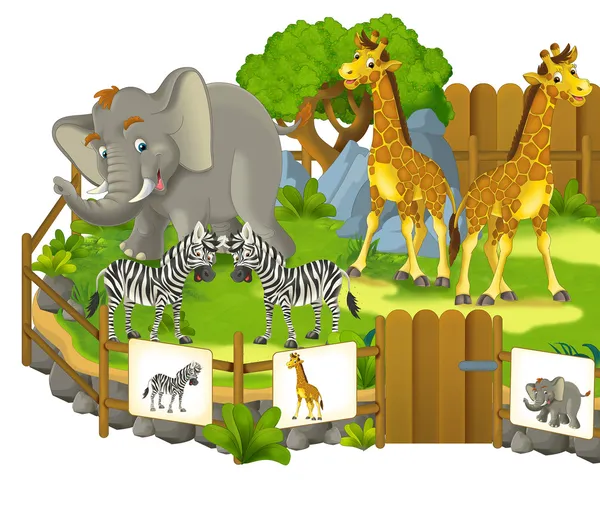 gambar kebun binatang kartun