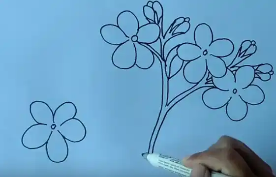 sketsa bunga melati
