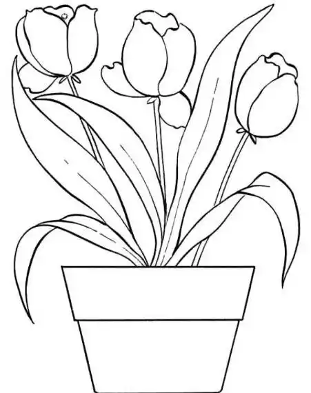 sketsa vas bunga