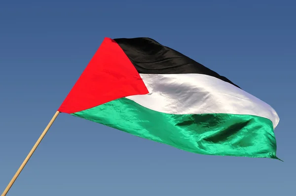 foto bendera palestina
