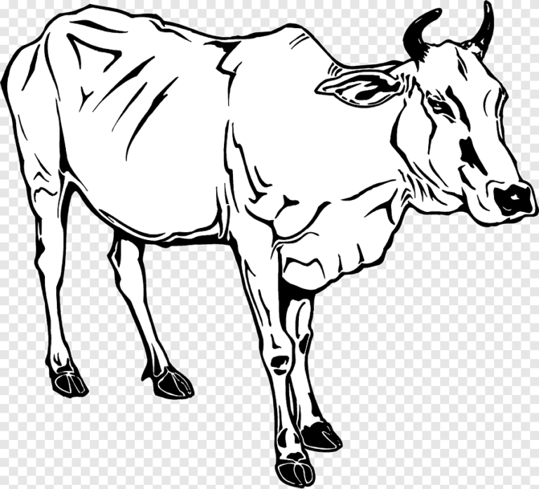 Kumpulan Gambar Mewarnai Sapi Yang Siap Untuk Diwarnai! - Blog Pengajar ...