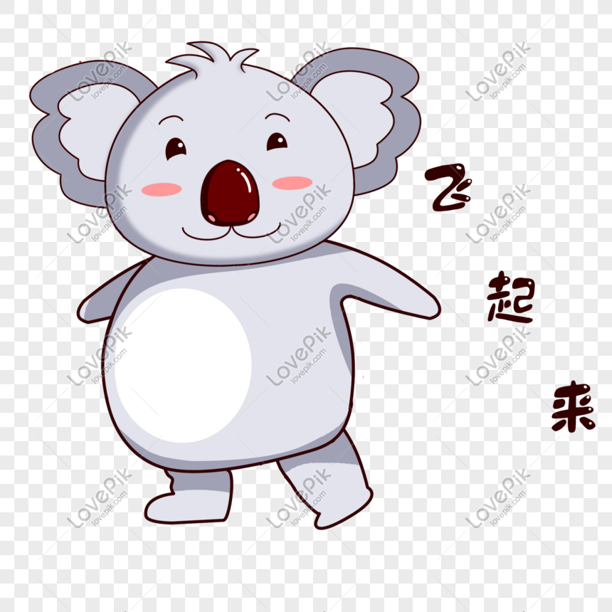 gambar koala kartun