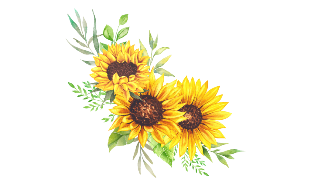 Gambar Bunga Matahari Kartun