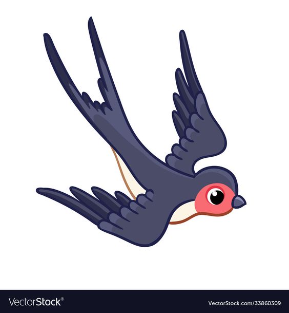 Gambar Burung Kartun