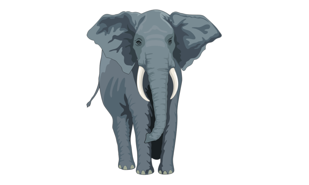 Gambar Gajah Kartun