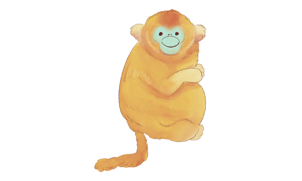 Gambar Monyet Kartun