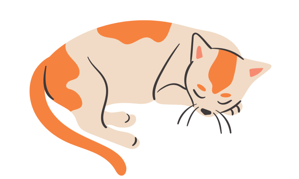 Gambar Kartun Kucing Lucu