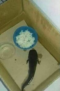 Kumpulan Gambar Lucu Bikin Ngakak Sampe Sakit Perut Terbagus - Blog