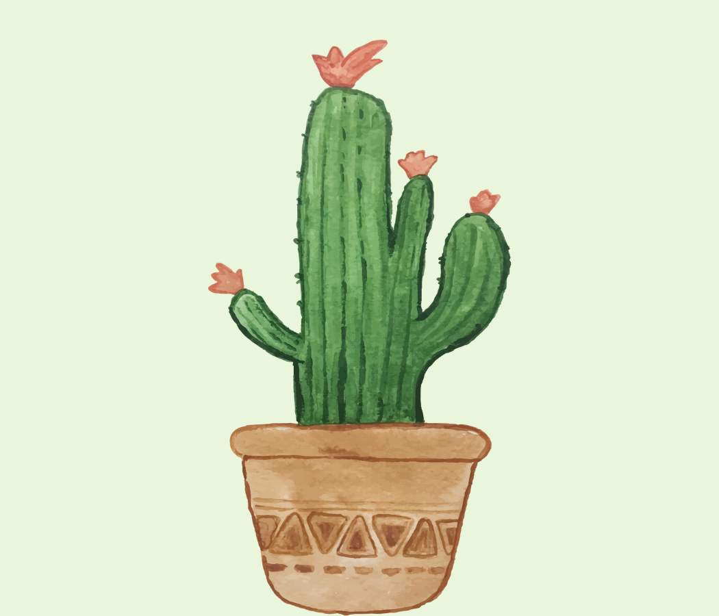 Gambar Kaktus