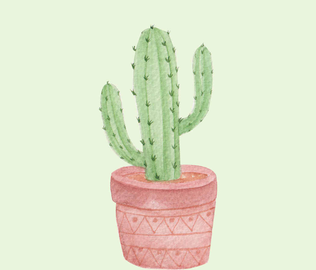 Gambar Kaktus