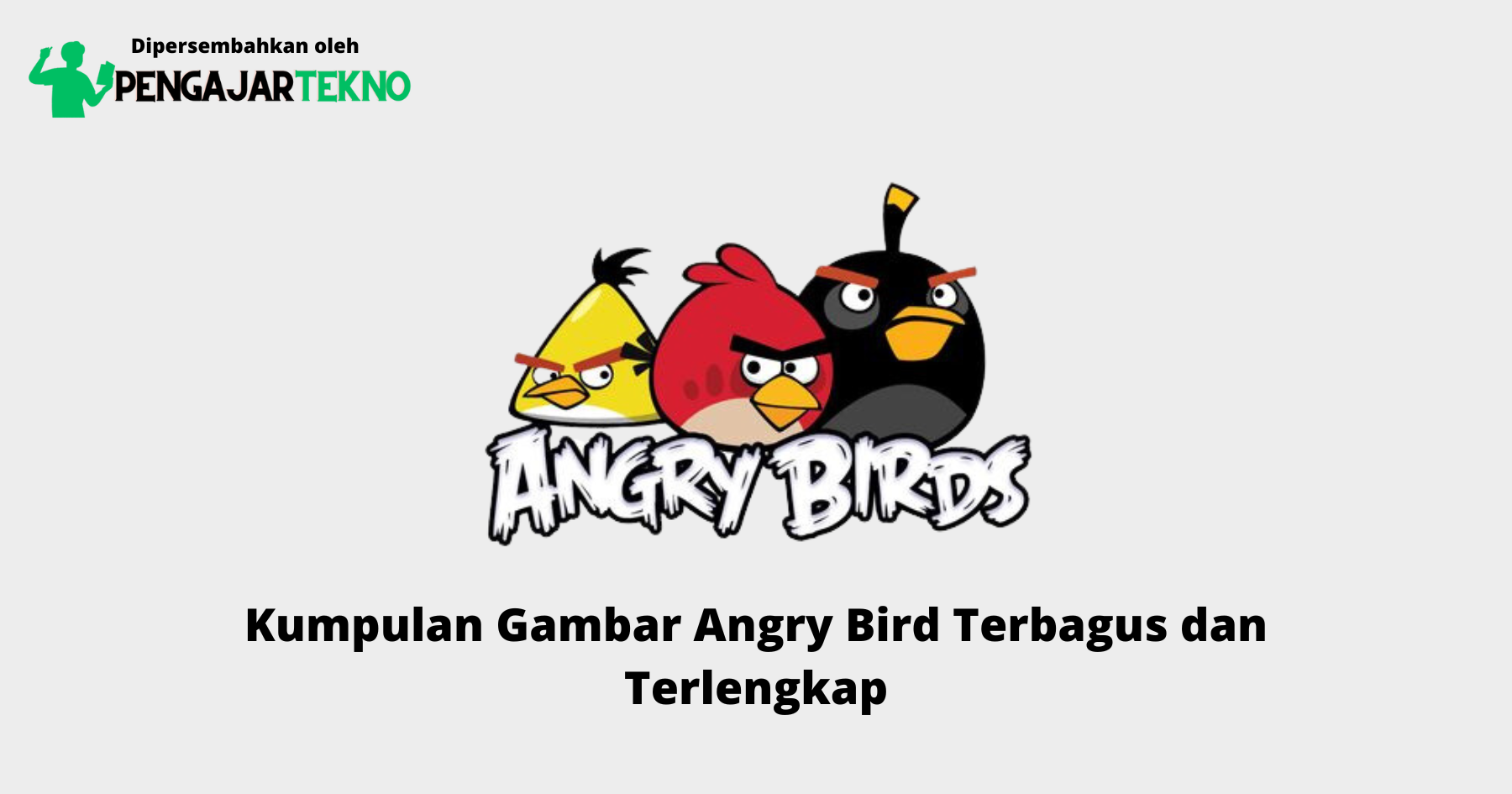 Gambar Angry Bird
