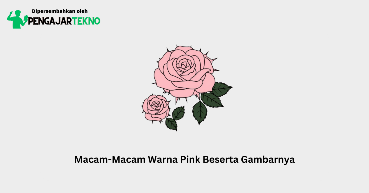 Macam-Macam Warna Pink Beserta Gambarnya - Blog Pengajar Tekno