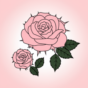 Macam-Macam Warna Pink Beserta Gambarnya - Blog Pengajar Tekno