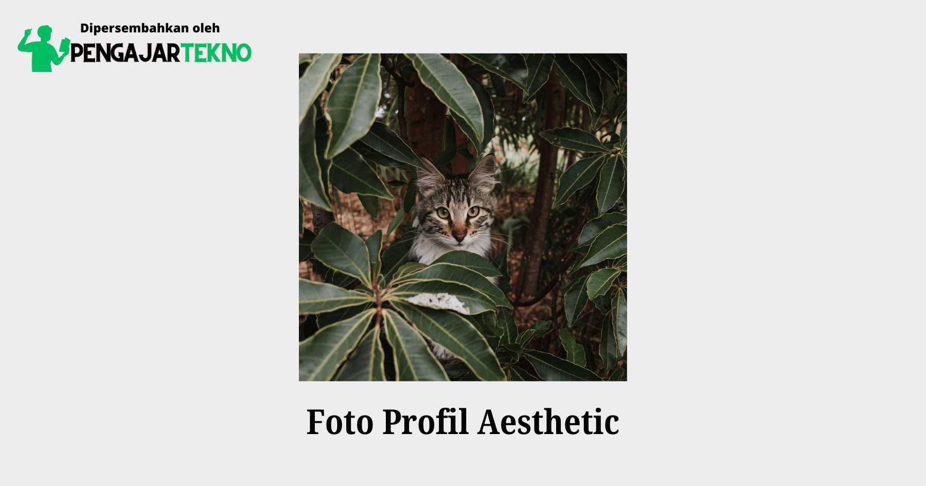 foto profil aesthetic