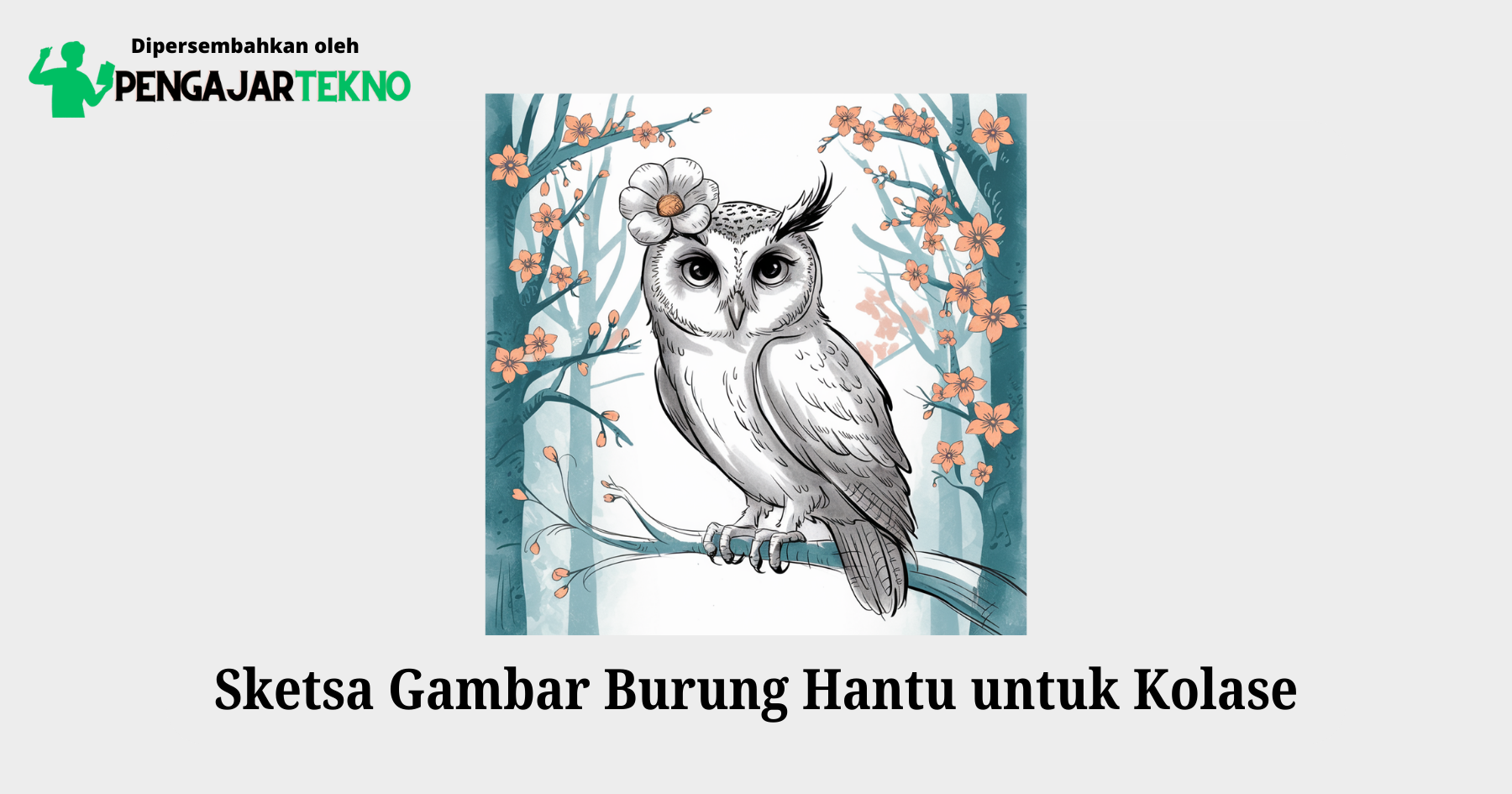 sketsa gambar burung hantu untuk kolase