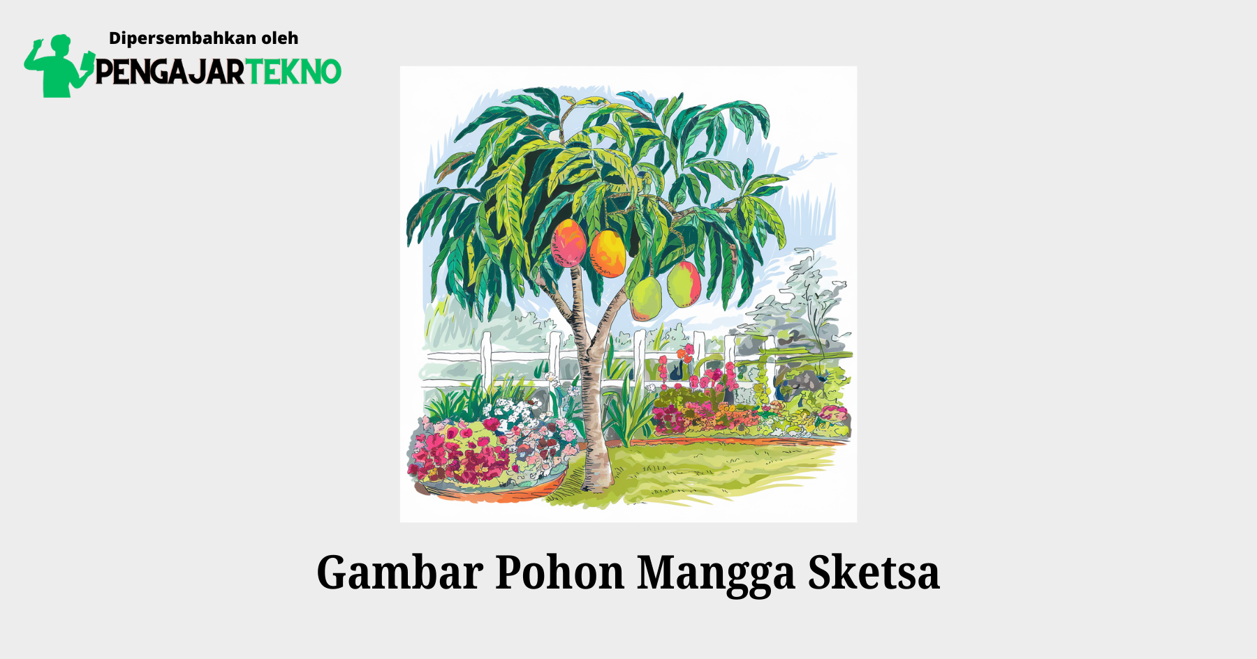 gambar sketsa pohon mangga