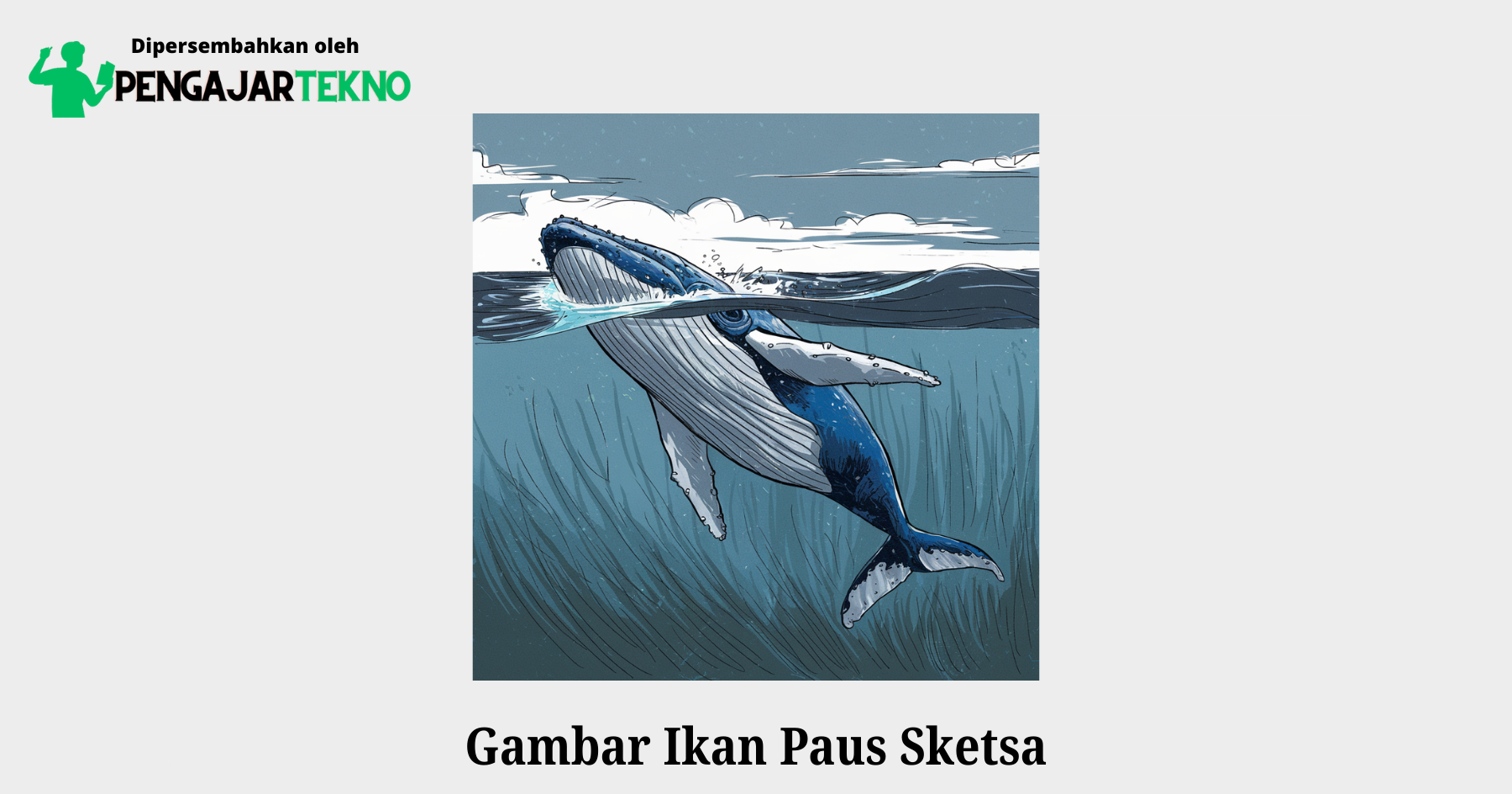 gambar ikan paus sketsa