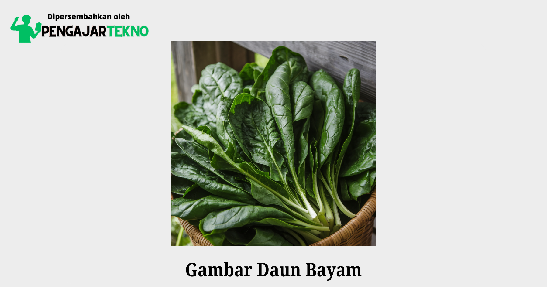 gambar daun bayam