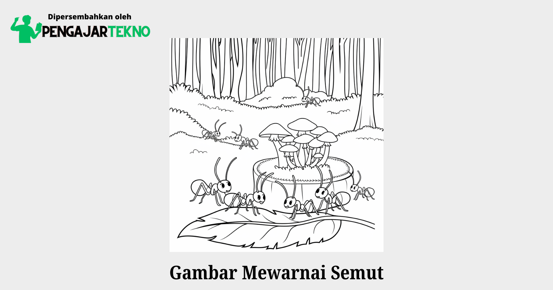 gambar mewarnai semut