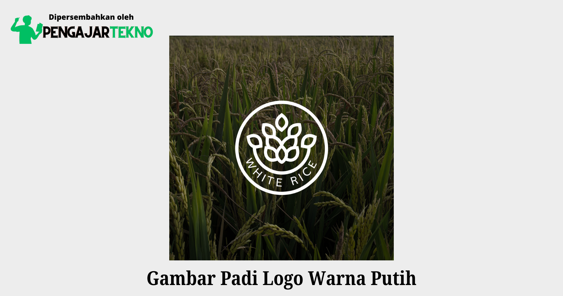 gambar padi logo warna putih