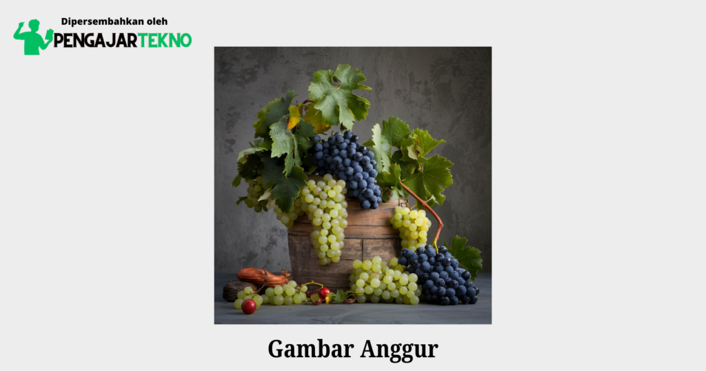 Gambar Anggur - Blog Pengajar Tekno